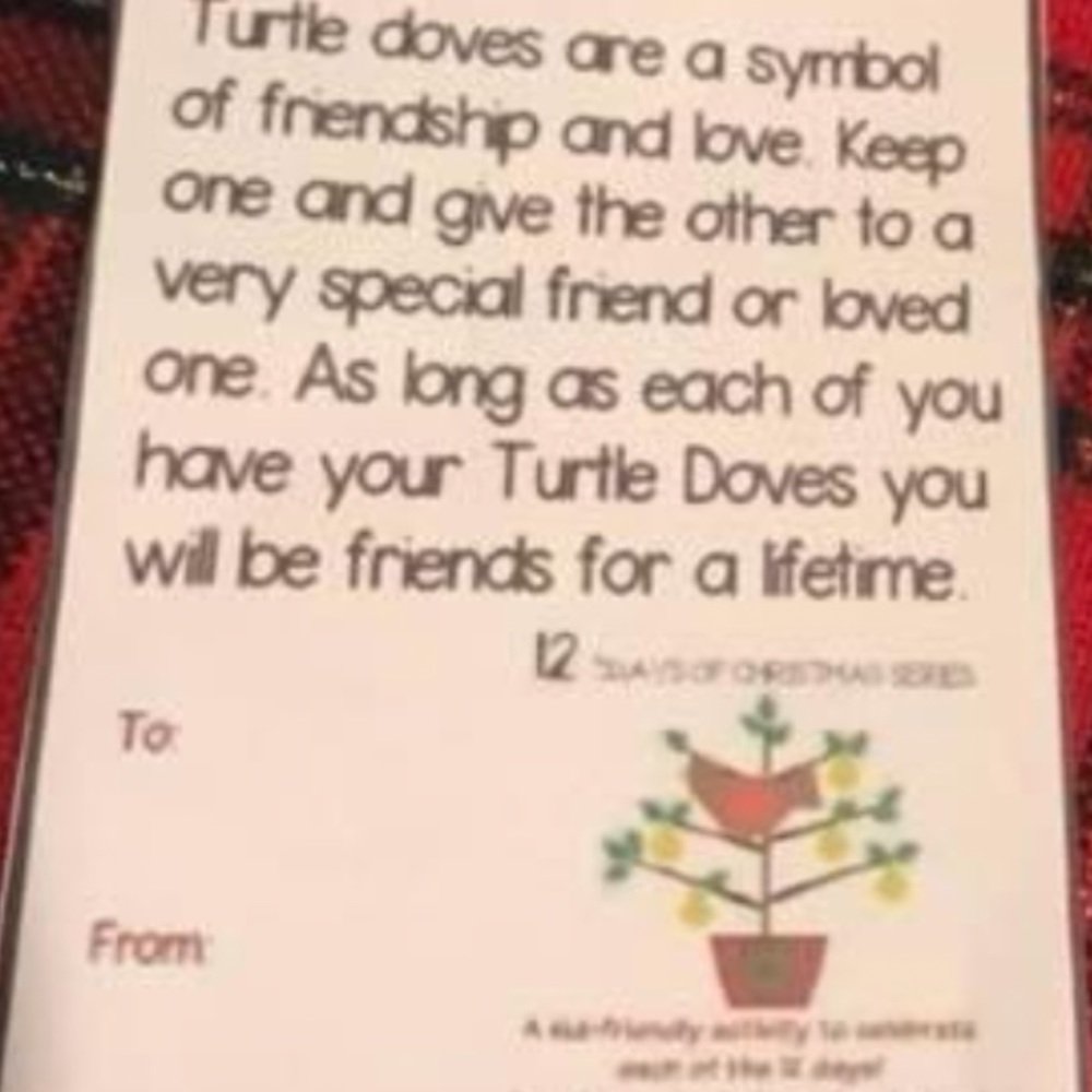 Two turtle doves they are individually gift wrapped with the story - Picture 3 of 3
